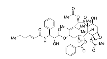 N-Debenzoyl-N-[(3E)-hex-3-enoyl] Paclitaxel