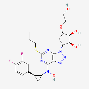 N-Hydroxy Ticagrelor