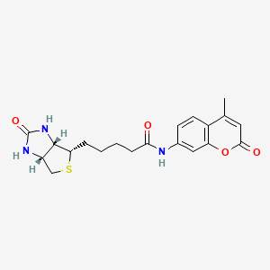 N-d-Biotinyl-7-amino-4-methylcoumarin