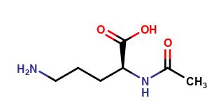 N2-Acetyl-L-ornithine