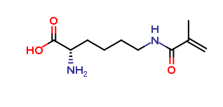 N6-(2-Methyl-1-oxo-2-propen-1-yl)-L-lysine