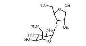 Neomycin Impurity 2