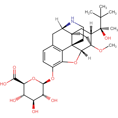 Norbuprenorphine-3β- D-Glucuronide