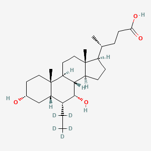Obeticholic Acid D5 (2,2,3,4,4-d5)