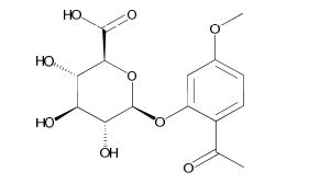 Paeonol 2-O glucuronide