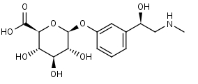 Phenylephrine Glucuronide