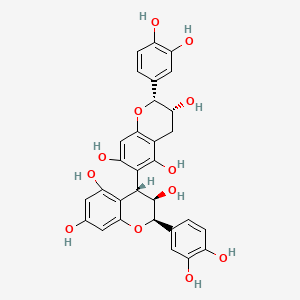 Procyanidin B5