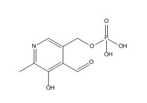 Pyridoxine Phosphate