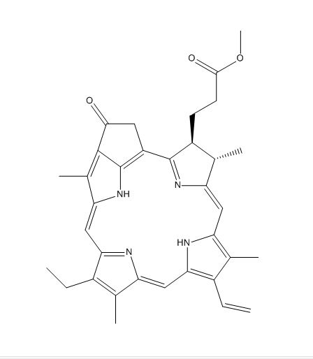 Pyropheophorbide A Methyl Ester