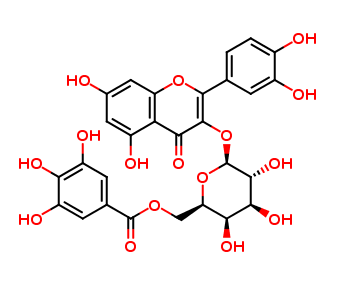 Quercetin 3-(6-O-galloylgalactoside)