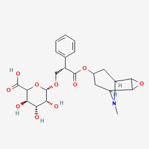 Scopolamine-β-D-Glucuronide