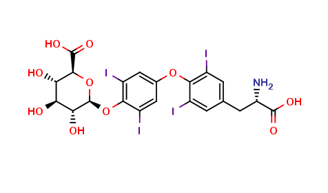 Thyroxine 4'-O-β-D-Glucuronide