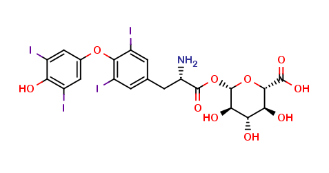 Thyroxine Acyl-β-D-Glucuronide