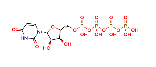 Uridine 5-Tetraphosphate