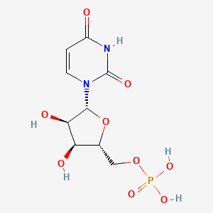 Uridine 5-monophosphate