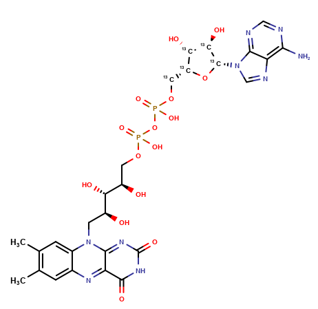 flavine Adenine Dinucleotide-13C5 Ammonium Salt