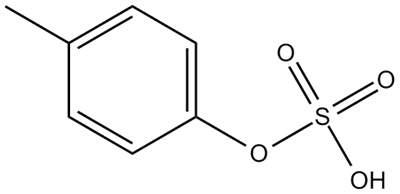 p-Cresol sulfate