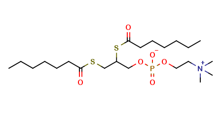 rac-12-bis(Heptanoylthio)glycerophosphocholine