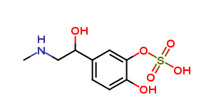 rac-Epinephrine-3-O-sulfate