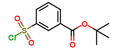 tert-Butyl 3-(Chlorosulfonyl)-benzoate
