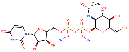 uridine diphosphate-α-N-[1,2-13C2]acetyl-D-glucosamine (disodium salt)